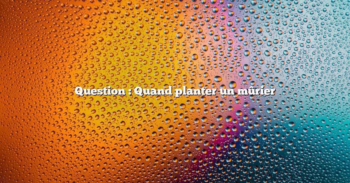 Question : Quand planter un mûrier